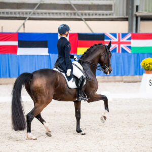 CDI Wroclaw 2023 - autumn