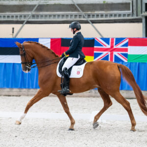 CDI Wroclaw 2023 - autumn