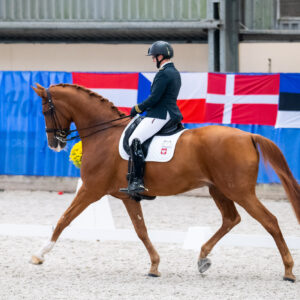 CDI Wroclaw 2023 - autumn