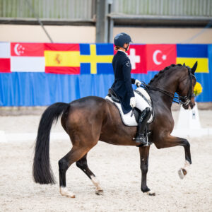 CDI Wroclaw 2023 - autumn