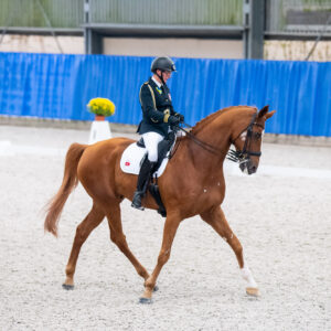 CDI Wroclaw 2023 - autumn