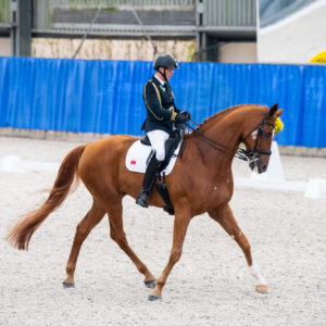 CDI Wroclaw 2023 - autumn