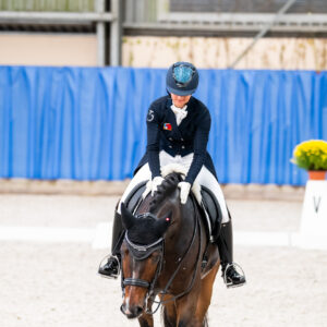 CDI Wroclaw 2023 - autumn