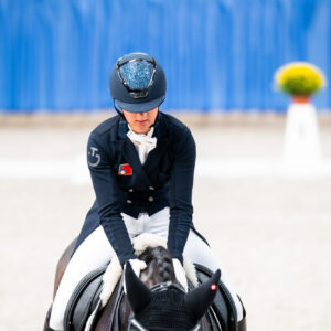CDI Wroclaw 2023 - autumn