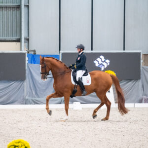 CDI Wroclaw 2023 - autumn