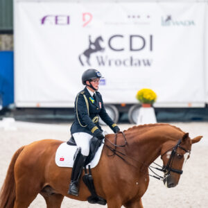 CDI Wroclaw 2023 - autumn