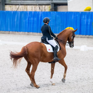 CDI Wroclaw 2023 - autumn