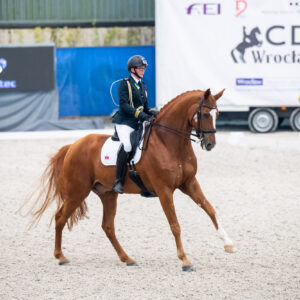 CDI Wroclaw 2023 - autumn