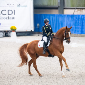 CDI Wroclaw 2023 - autumn