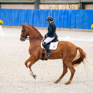 CDI Wroclaw 2023 - autumn