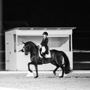 CDI Troisdorf 2023 - autumn