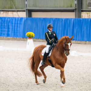CDI Wroclaw 2023 - autumn