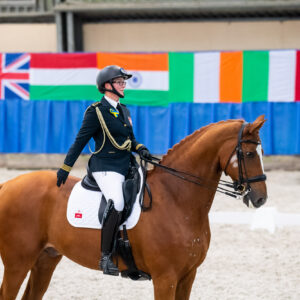 CDI Wroclaw 2023 - autumn