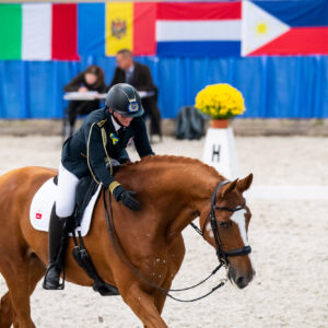 CDI Wroclaw 2023 - autumn