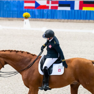 CDI Wroclaw 2023 - autumn