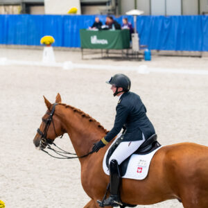 CDI Wroclaw 2023 - autumn