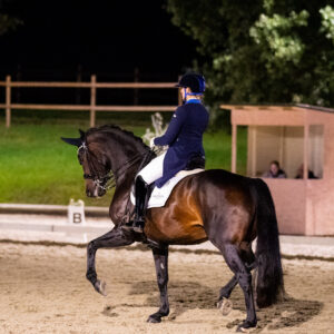 CDI Troisdorf 2023 - autumn