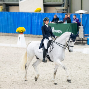 CDI Wroclaw 2023 - autumn