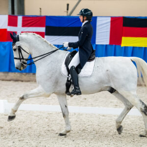 CDI Wroclaw 2023 - autumn
