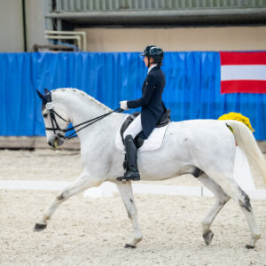 CDI Wroclaw 2023 - autumn
