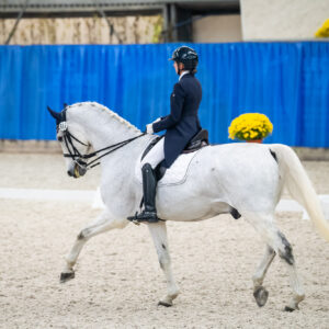 CDI Wroclaw 2023 - autumn