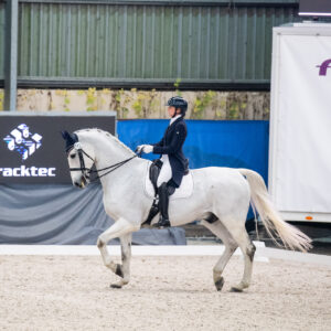 CDI Wroclaw 2023 - autumn