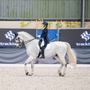 CDI Wroclaw 2023 - autumn
