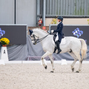 CDI Wroclaw 2023 - autumn