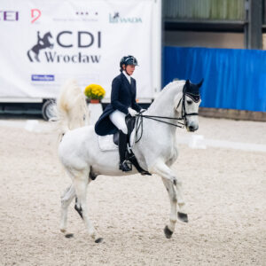 CDI Wroclaw 2023 - autumn
