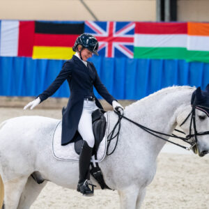 CDI Wroclaw 2023 - autumn
