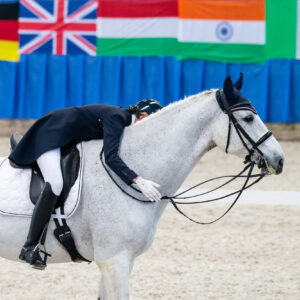 CDI Wroclaw 2023 - autumn