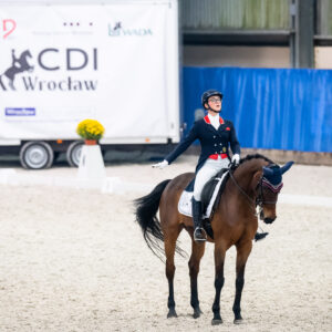 CDI Wroclaw 2023 - autumn