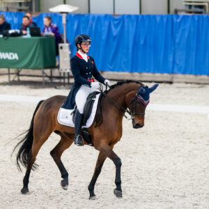 CDI Wroclaw 2023 - autumn