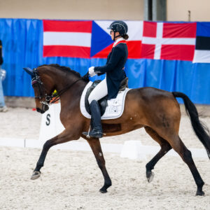 CDI Wroclaw 2023 - autumn