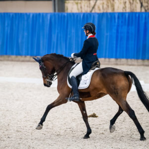 CDI Wroclaw 2023 - autumn