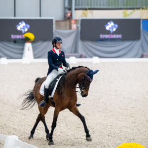 CDI Wroclaw 2023 - autumn