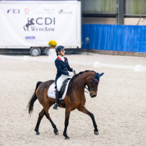 CDI Wroclaw 2023 - autumn