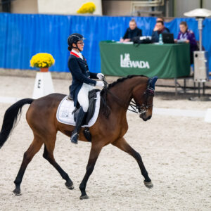 CDI Wroclaw 2023 - autumn