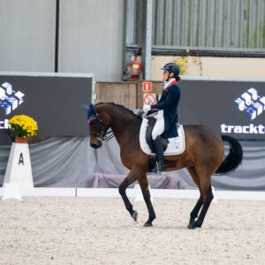 CDI Wroclaw 2023 - autumn