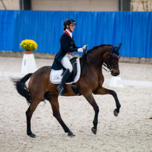 CDI Wroclaw 2023 - autumn