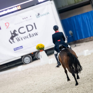 CDI Wroclaw 2023 - autumn