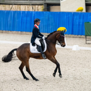 CDI Wroclaw 2023 - autumn