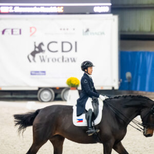 CDI Wroclaw 2023 - autumn