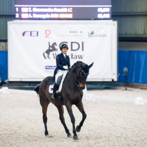 CDI Wroclaw 2023 - autumn