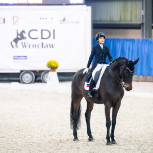CDI Wroclaw 2023 - autumn