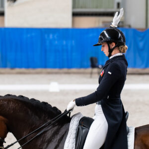 CDI Wroclaw 2023 - autumn