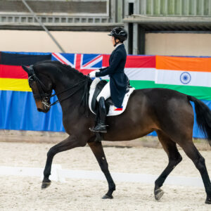 CDI Wroclaw 2023 - autumn