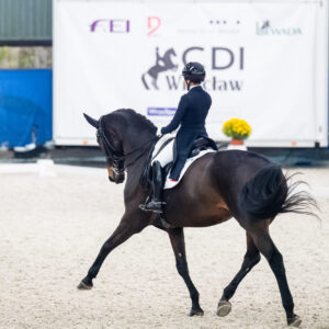 CDI Wroclaw 2023 - autumn