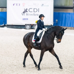 CDI Wroclaw 2023 - autumn