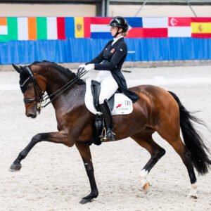 CDI Wroclaw 2023 - autumn